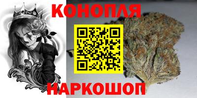 стаф Кунгур