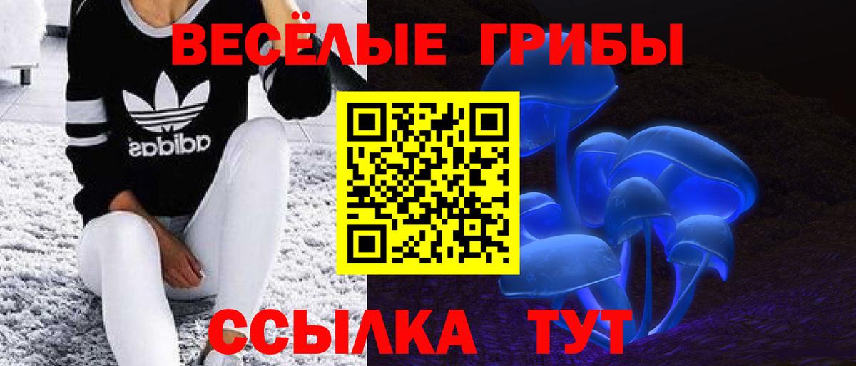 Горно-Алтайск  Галлюциногенные грибы Psilocybe  купить  цена  Вход с VPN  Псилоцибиновые грибы Psilocybe 