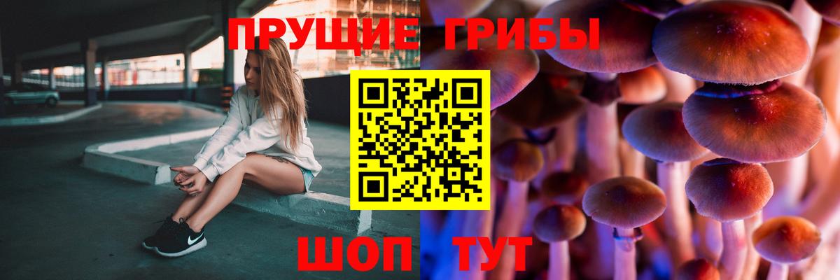 Псилоцибиновые грибы мицелий Горно-Алтайск